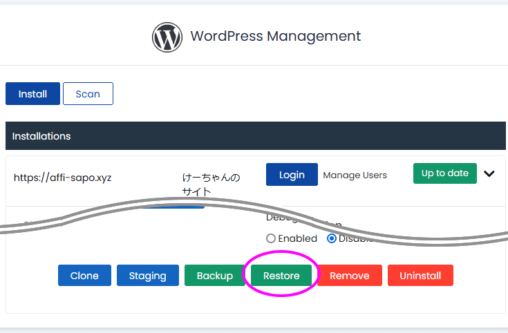 WordPress Management Restore